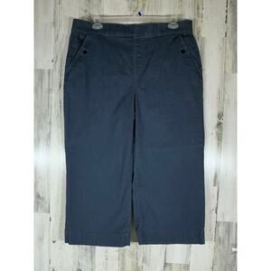 Terra & Sky Womens‎ Crop Pants Size 1X 16W 18W (39x23) Gray Wide Leg Stretchy